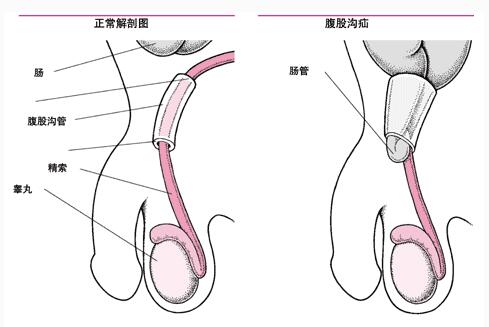 1491874858815624.jpg QQ截图20170411091904.jpg