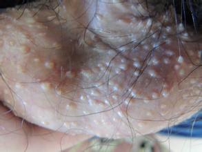 1491980436627833.jpg u=2478700690,522125526&fm=21&gp=0.jpg